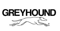 Greyhound logo